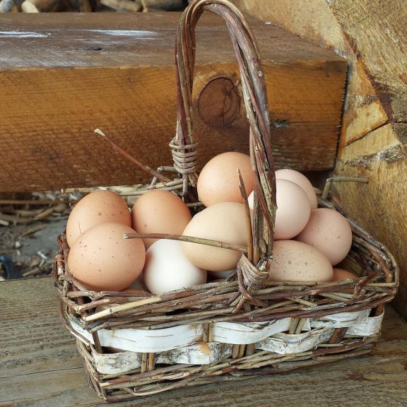 eggs-in-one-basket-2456902_1920